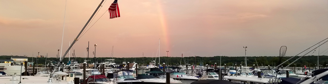marina-rainbow-banner.jpg